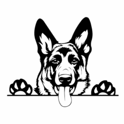 🐶 Autoaufkleber Deutscher Schäferhund Schwarz 18cm - Lustige Hundeaufkleber