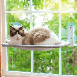 MEWOOFUN Katzen Hängematte Fensterplätze für Katzen 54x30cm Klappbar Katzenbett Fenster mit Stabil Saugnäpfe bis zu 18kg (Grau, Mittel) 🐱🪟