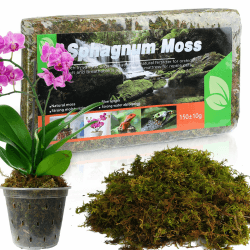 🌿🌺 Sphagnum Moos für Pflanzen (10L / 2er Pack) - Vielseitige Blumenerde 🌱🦎
