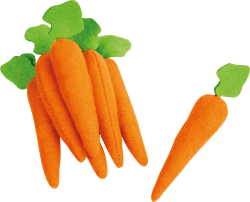 🥕 Kleine Filz-Möhren im 7-er Set - 4425 Natur Toys 🍊