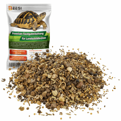 BEESI100g Schildkröten Samenmischung 🐢🌿