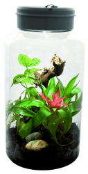🦎🔦 Lucky Reptile Insekten Terrarium Nanoterrarium 🌿