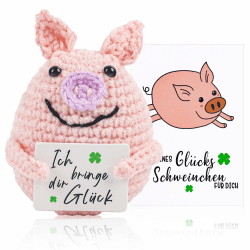 TIVUNORON Pocket Hug Glücksschweinchen - Niedliche Desktop-Dekoration 🐷