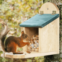 🐿️🏡 Wetterfestes Eichhörnchen Futterhaus mit großer Sitzplattform - Langlebiges Massiv-Holz