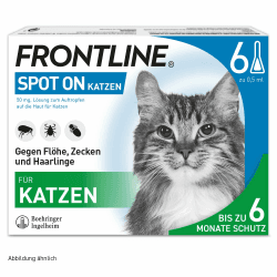 🐱 Frontline Spot on K Lösung f.Katzen Deal  🐾