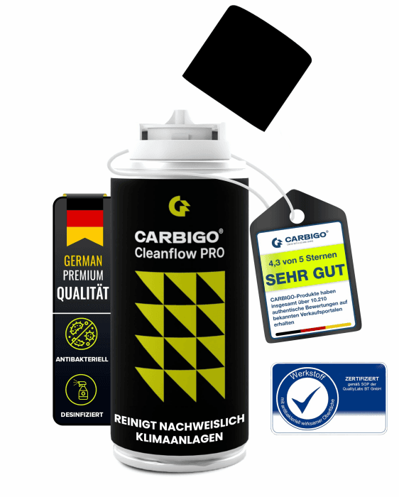 CARBIGO® Klimaanlagen Desinfektion Auto I Geruchsneutralisierer Auto gegen Gerüche in 15 min 🍋