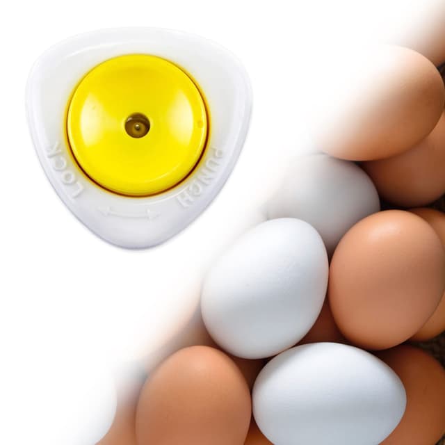 🥚 Küchenwerkzeuge für Eierliebhaber 🍳