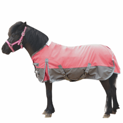 🐴 Hochwertige 1200D Pony/Shetty Regendecke ohne Füllung - Angebot!