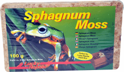 Angebot: Lucky Reptile Sphagnum Moos Ziegel, Inhalt: 5 Liter 🦎🌿
