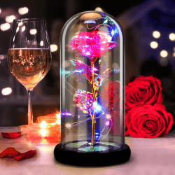 DASIAUTOEM Ewige Rose im Glas 🌹