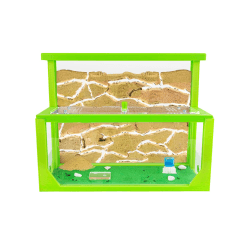 AntHouse - Natürliche Ameisenfarm aus Sand 3D | Modell L (Sandwich + Futterbox) Grün | Ant Farm | Inklusive Ameisenkolonie 🐜🏡
