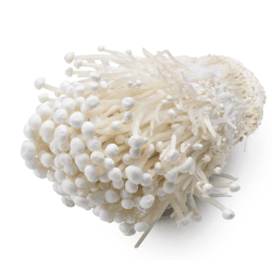 🍄🌿 Enoki Pilze Züchten Set - BIO Pilzkultur - Pilzzuchtset für Anfänger und Fortgeschrittene 🌱🍄