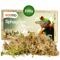 Sphagnum Moos für Pflanzen & für's Terrarium 100g I Moos für Orchideen Terrarien und andere Zimmerpflanzen I Lebendes Torfmoos Peat Moss