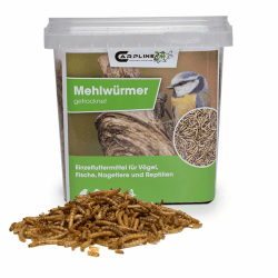 Carpline24 Getrocknete Mehlwürmer 1000 ml - Proteinreiche Insekten als Futter für Reptilien, Nager, Igel & Fische, Vogelfutter, Winterfutter