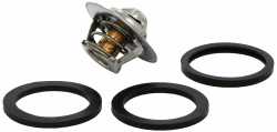 8620 5491 Thermostat, Kühlmittel