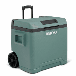 Igloo elektrische Kühlbox