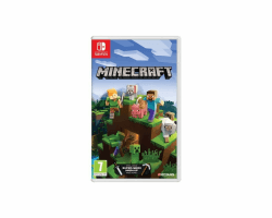 Schalter Minecraft