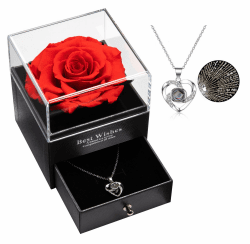 Ewige echte Rose mit I Love You Halskette 100 Sprachen Schmuck Geschenkbox Ewige echte Rose für Valentinstag Muttertag Hochzeit Jahrestag Geburtstag Geschenk für sie (Rot)