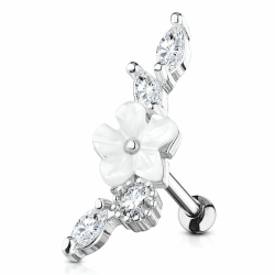 Stachelkleid Blume Perlmut Zirkonia Helix Ohrring Piercing Ohr Barbell Chirurgenstahl 316L