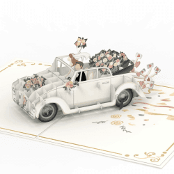 papercrush® Pop-Up Hochzeitskarte Hochzeitsauto - 3D Hochzeitskarte edel „just married“, Glückwunschkarte zur Hochzeit, Gutschein für Hochzeitsreise & Geldgeschenk, Flitterwochen Geschenk