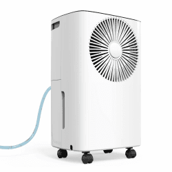 CONOPUPlus Luftentfeuchter 12L/Tag, Auto Entfeuchtung, 24H-Timer Ein/Aus, Kontinuierliche Entwässerung, Raumentfeuchter, Geeignet für den Wohnung/Keller, Luftentfeuchter Elektrisch, Gegen Feuchtigkeit