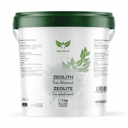 🌋 NaturaForte Zeolith Pulver 1 kg Premium Qualität ohne Zusätze