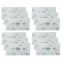 🌟 Mega-Deal! 4-lagige Papiertaschentücher-Boxen by Amazon, 1200 Stück, 12 Packungen