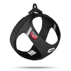 🐾 Hundegeschirr curli Clasp Air-Mesh Schwarz S - Angebot!
