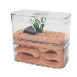 🐜🏡 AntHouse Gips Formicarium Ameisenfarm Display Box Insektenvilla