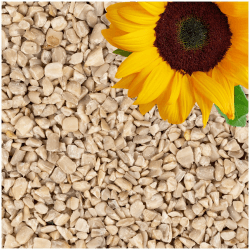 Lyra Pet® | 25 kg Sonnenblumenkerne Geschält Bruch 🌻🐦 | Wildvogelfutter Ganzjährig