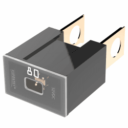 AUPROTEC PAL B Blocksicherung Male OTO BT Japan 30A - 140A Auswahl: 80A Ampere schwarz, 1 Stück 😎🚗