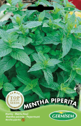 🌿🌱 Deal: Germisem Pfefferminze MENTHA PIPERITA, mehrfarbig, EC1109 🌱🌿