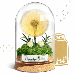 Ewige Pusteblume im Glas mit LED Lichtern 🌟