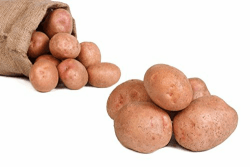 FRUCHTVERSAND24® Speisekartoffeln Laura 5kg 🥔🌿 | Lecker und cremig im Geschmack