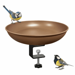 🐦 Vogeltränke Balkon 🌿 Vogeltränke Garten 🦜 Vogeltränke Winterfest