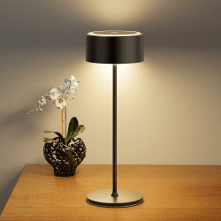 🌟Tischlampe mit 2 Farbmodi und stufenlosem Dimmen - TYEE Akku Tischleuchte