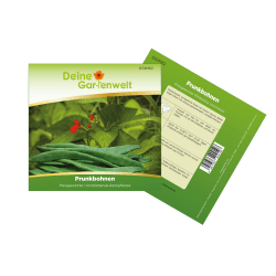 Prunkbohnen Feuerbohnen Preisgewinner Bohnen Samen - Gemüsesamen von Deine Gartenwelt 🌱🌱