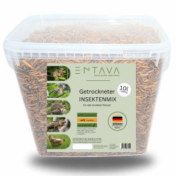 ENTAVA 10l Nachhaltiger Insektenmix 🦗🐦