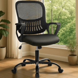 DUMOS Bürostuhl Ergonomisch mit Lendenwirbelstütze ⭐️