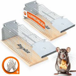 🐭 RAPIZZ Rattenfalle Lebend 2 Stück Groß - 30cm Länge mit Sicherheitshandschuhen & Expertentipps