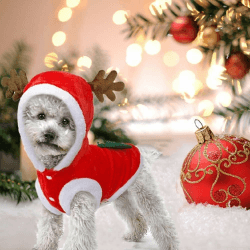 🎅🐶🦌 JIMACRO Haustier Weihnachtskostüm - Rentier Hundekostüm & Katzen Kostüm 🎄❄️