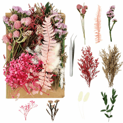 Trockenblumen Zum Basteln, Rosa Getrocknete Blumen mit Pinzette, Kleine Trockenblumen Deko, Haltbare Strohblumen Getrocknet, Blumen Deko für Scrapbooking, DIY Kerze, Schmuck Handarbeiten