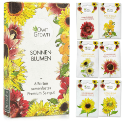 Sonnenblumen Samen Set - 6 Sorten - Blumen Geschenk Set 🌻🎁