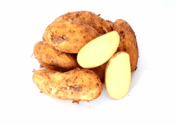🥔🌿 Kartoffeln Speisekartoffeln Annabelle 1-25 KG frische Ernte 2024 festkochend Salatkartoffel zum Grillen 🍟🥗