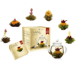 Angebot: Creano Teeblumen Mix - Goldenes Geschenkset Erblühtee mit Glas Teekanne 🌺🍵
