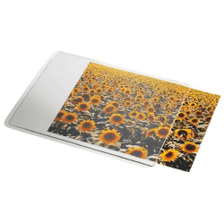 🌟 Super Angebot! Esselte 67691 Mauspad Personal, weiß 🌟