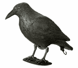 🦅🌿 Dehner Dekofigur Rabe: Schreckt Vögel ab! 🌿🦅