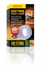 🔥 Exo Terra Daytime Heat Lamp 60W - Tageslichtlampe A19 🦎