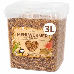 🐛 AVIDA ZEN Getrocknete Mehlwürmer - Nährstoffreicher Snack für Ihre Tiere! 🐦🐢🐟