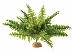 🌿 Exo Terra Boston Farn 🌿 - Künstliche Pflanze für Terrarien